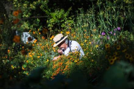 Journal le Monde parution du 22 juillet 2025
