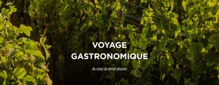 voyage gastronomique