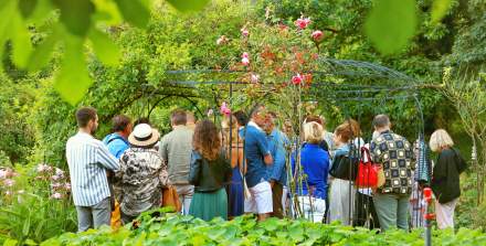 festival garden party