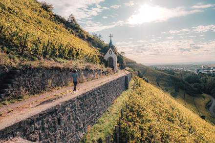 Jean-Luc Brendel | Route des vins d'Alsace