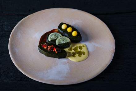 ayote par Jean luc Brendel à Riquewihr