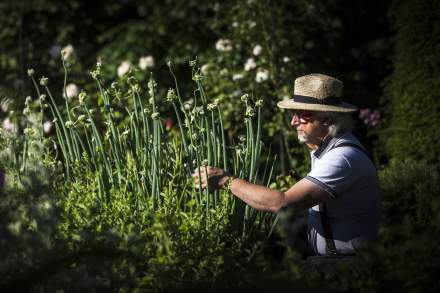 dans les jardins du kobelsberg à riquewihr