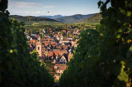 Jean-Luc Brendel – stays and weekends alsace riquewihr