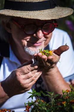 Jean-Luc Brendel · Jardin de Kobelsberg