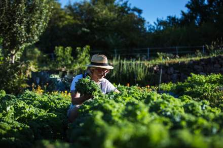 Jean-Luc Brendel – Hotels &amp; Restaurants in Riquewihr in Alsace | The Kobelsberg gardens