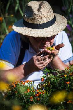 Jean-Luc Brendel – Hotels &amp; Restaurants in Riquewihr in Alsace | The Kobelsberg gardens